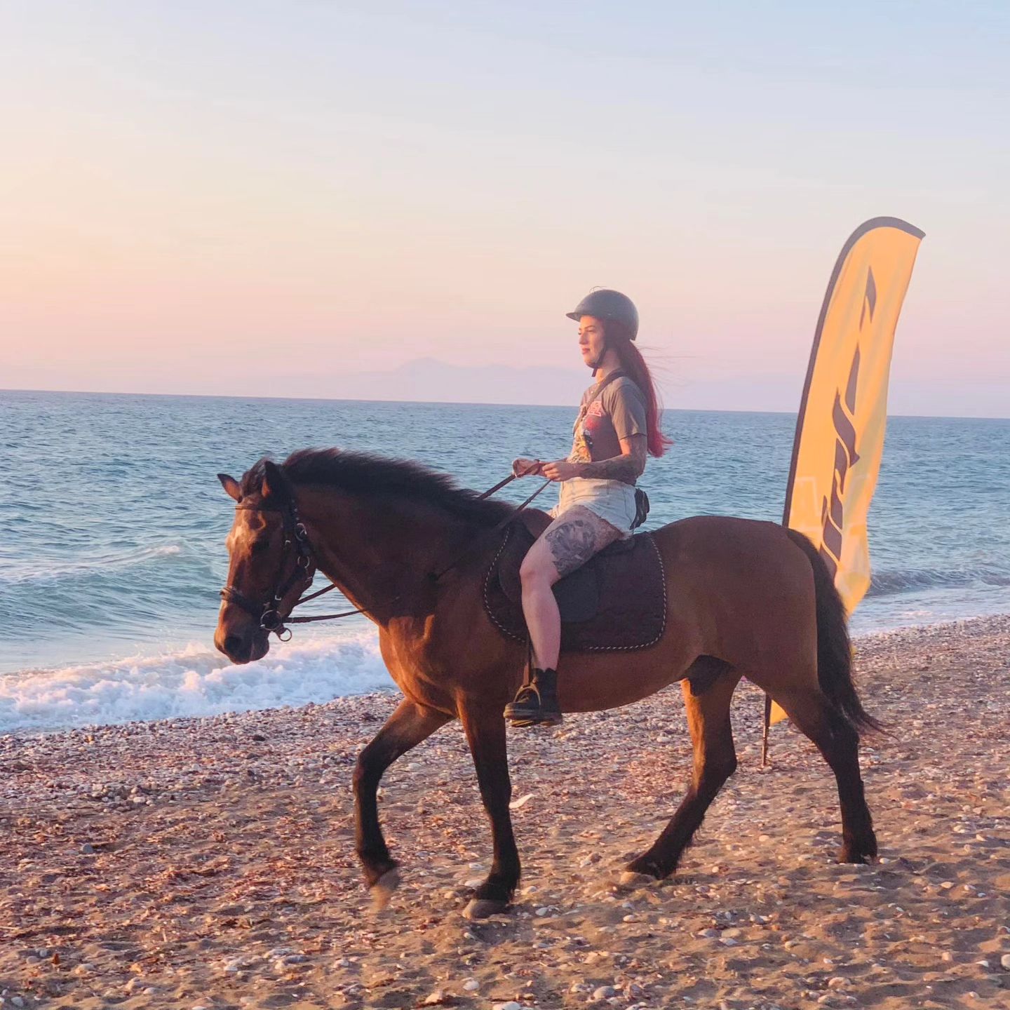 rhodes-horse-54